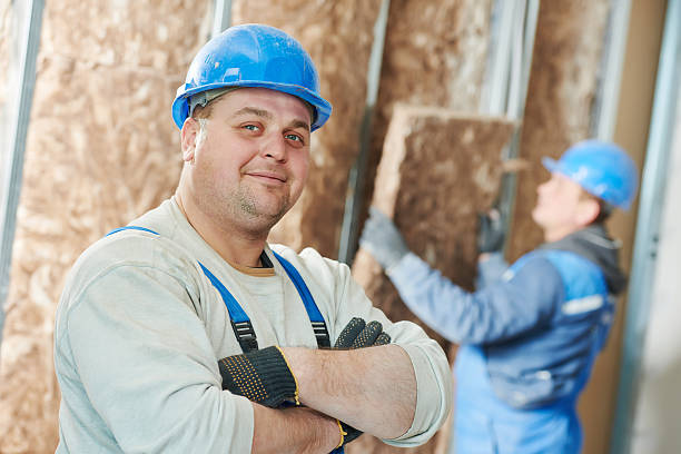 Professional Insulation in Oran, MO